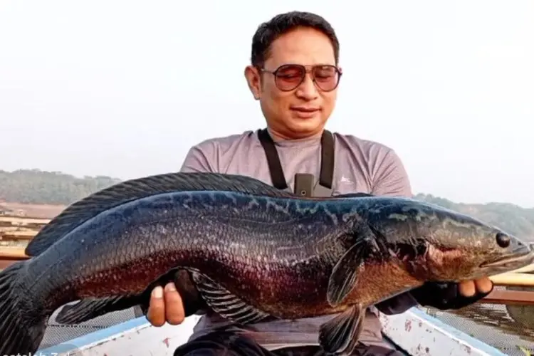 Promosikan Potensi Waduk Saguling, Kowami Helat Saguling Water 2025