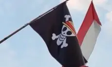 Soal Bendera One Piece, Amnesty Internasional: Pemerintah Jangan Berlebihan dan Anti-Kritik