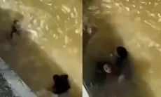 Viral Aksi Heroik Petugas Damkar Selamatkan Wanita yang Nyaris Tenggelam di Sungai