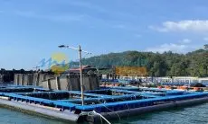 Sepakat dengan Susi Pudjiastuti, Dedi Mulyadi Tolak KJA di Pangandaran