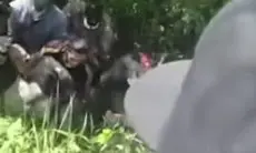 Penemuan Mayat Pria di Jalak Harupat Gegerkan Warga Kabupaten Bandung