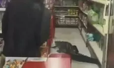 Heboh! Buaya Raksasa Masuk Minimarket di Taliabu