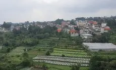 Imbas Gempa dengan Magnitudo 1,8 pada 14 Agustus 2025, Potensi Bencana Sesar Lembang Ancam Bandung Raya