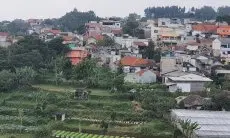 Aktivitas Sesar Lembang Picu Rentetan Gempa Kecil, BPBD Cimahi Pastikan Siap Siaga