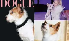 Rose BLACKPINK Malah Dihujat Setelah Anjingnya Hank jadi Model Sampul 'DOGUE' Vogue Kore