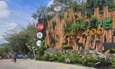 Gunakan Drone Thermal, BBKSDA Jabar Rekam Gerak-gerik Macan Tutul yang Lepas dari Kandang Lembang Park and Zoo 