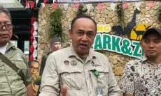 Ini Skema yang Digunakan Tim Gabungan untuk Menangkap Macan Tutul yang Kabur di Kandang Karantina Lembang Park and Zoo 