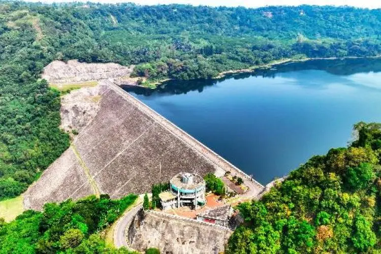 Peningkatan Pendapatan Dorong PLN Masuk Fortune Global 500
