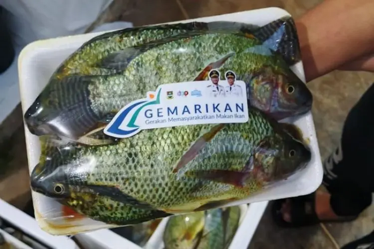 Sepanjang 2024, Konsumsi Ikan di KBB Masih Rendah
