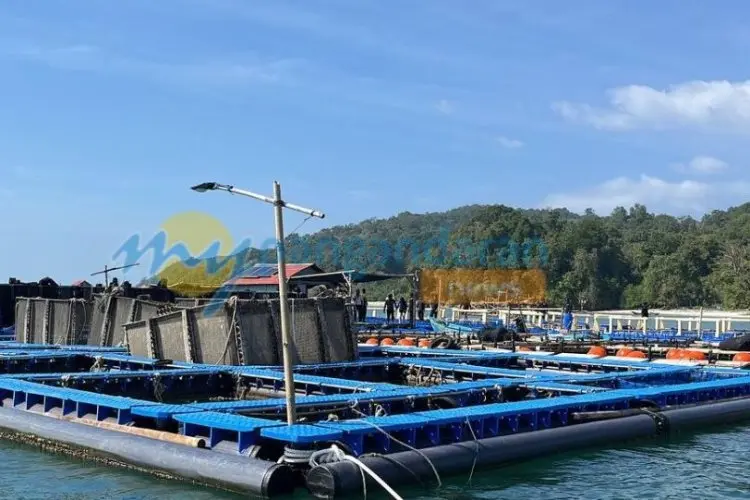 Sepakat dengan Susi Pudjiastuti, Dedi Mulyadi Tolak KJA di Pangandaran