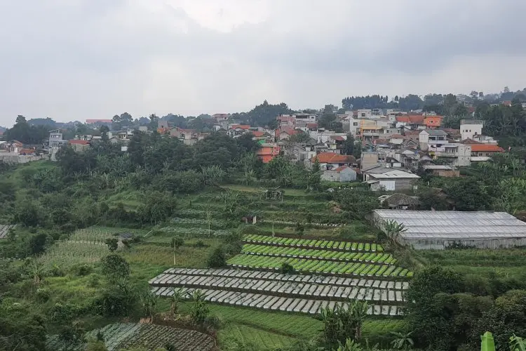 Imbas Gempa dengan Magnitudo 1,8 pada 14 Agustus 2025, Potensi Bencana Sesar Lembang Ancam Bandung Raya