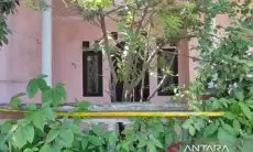 Penemuan Lima Mayat dalam Satu Lubang Kuburan, Polisi Duga Sekeluarga Jadi Korban Pembunuhan