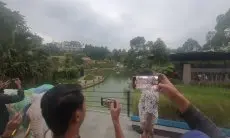 Upaya Pencarian Tak Membuahkan Hasil, BBKSDA Jabar Duga Macan Tutul Telah Keluar dari Kawasan Lembang Park and Zoo 