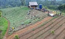 Sudah 'Ekspor' ke Papua, Petani Bawang Merah di Sukajaya Minta Dukungan JUT ke Pemkab Bogor