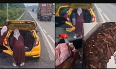 Viral Sopir Truk Dapat Bolu dan Uang Setelah Bantu Emak-Emak Ganti Ban di Tol