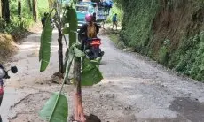 Aksi Protes Kreatif Warga Desa Cikahuripan Lembang: Tanam Pohon Pisang di Jalan Rusak Akibat Pemda Acuh Tak Acuh