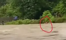 Viral! Ibu Muda di Polman Nekat Terobos Sungai Deras Demi Anaknya