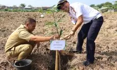 Pemkab dan Kejari Cirebon Tanam Ratusan Pohon Peringati Hari Lahir Kejaksaan ke-80