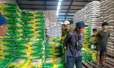 Jaga Stabilitas Harga, Bapanas Gelontorkan 678 Ribu Ton Beras SPHP hingga Juli 2026