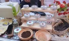 TEROBOSAN, Para Siswa SMP di Bogor Ciptakan Semir Sepatu Berbahan Dasar Kulit Pisang