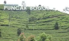 Ekowisata Jadi Jalan Baru Pariwisata Kabupaten Bogor