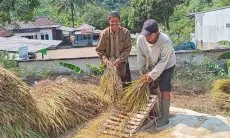 Tidak Sewangi dan Semakmur Namanya, Warga Desa Sukawangi Kecamatan Sukamakmur Malah Terancam Dipenjara