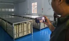 350 Dapur MBG di Jabar Dihentikan, Belum Kantongi Sertifikat Sanitasi