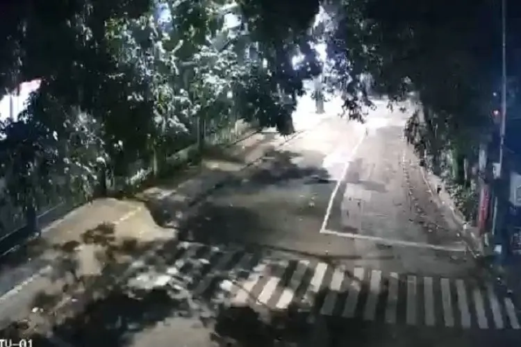 Sikap Kami: Tangkap Penumpang Gelap