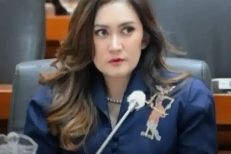 Bukan Hanya Ahmad Sahroni, NasDem Minta Gaji dan Fasilitas Nafa Urbach Sebagai Anggota DPR Dihentikan