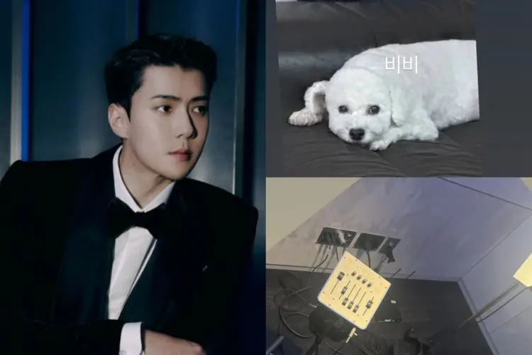Seluruh Member EXO kini Telah Menyelesaikan Wajib Militer dengan Sehun yang Baru Keluar Weekend Kemarin