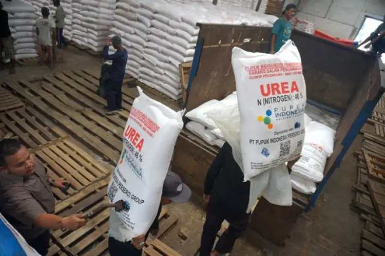 Paruh Waktu 2026, Realisasi Pupuk Subsidi di Jabar Sentuh 55 Persen 