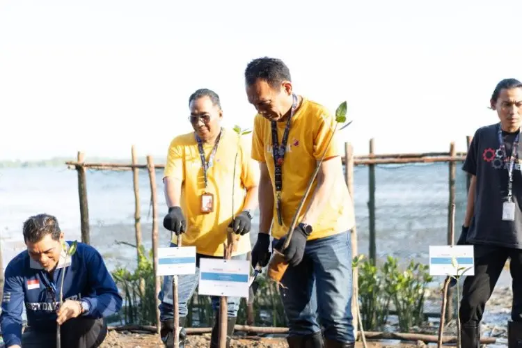 Lewat Program New Home-Pass, New Tree, Linknet Tanam 7.500 Pohon Mangrove di Kepulauan Riau