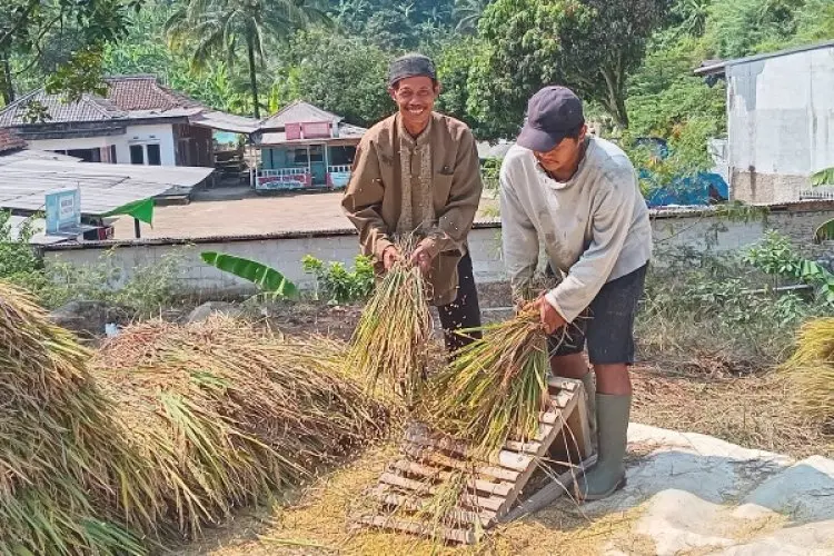 Tidak Sewangi dan Semakmur Namanya, Warga Desa Sukawangi Kecamatan Sukamakmur Malah Terancam Dipenjara