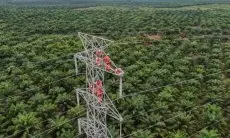 PLN Dorong Interkoneksi ASEAN Power Grid untuk Akselerasi Transisi Energi Bersih