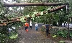 Citeureup dan Cibinong Diterjang Angin Kencang, 10 Desa atau Kelurahan Terdampak