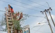 PLN Giatkan Pangkas Pohon dekat Jaringan Listrik di Cikarang, Demi Listrik Andal dan Aman