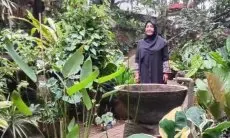 Hutan Organik Megamendung Melawan Panas Ekstrem dan Maraknya Pembangunan Vila Mewah
