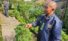Berawal dari Hobi, Pria Paruh Baya di Parongpong Bisa Raup Cuan dari Budidaya Bonsai
