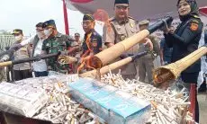 Peredaran Rokok Ilegal di Bogor Terbesar Ketiga Se-Jawa Barat