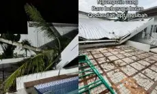 Viral Rumah Dihantam Pohon Kelapa Tetangga, Pemilik Pohon Tolak Ganti Rugi dengan Alasan ‘Musibah’