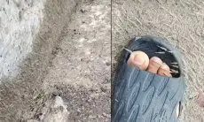 Viral Fenomena Aneh di Mamuju, Jutaan Udang Kecil Naik ke Darat Bikin Warga Heboh