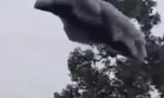 Heboh Gumpalan Hitam Turun dari Langit di Subang, Bentuknya Mirip Awan