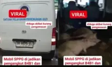 Viral Mobil untuk MBG Angkut Babi dan Ayam di Nias, BGN Bakal Lapor Polisi