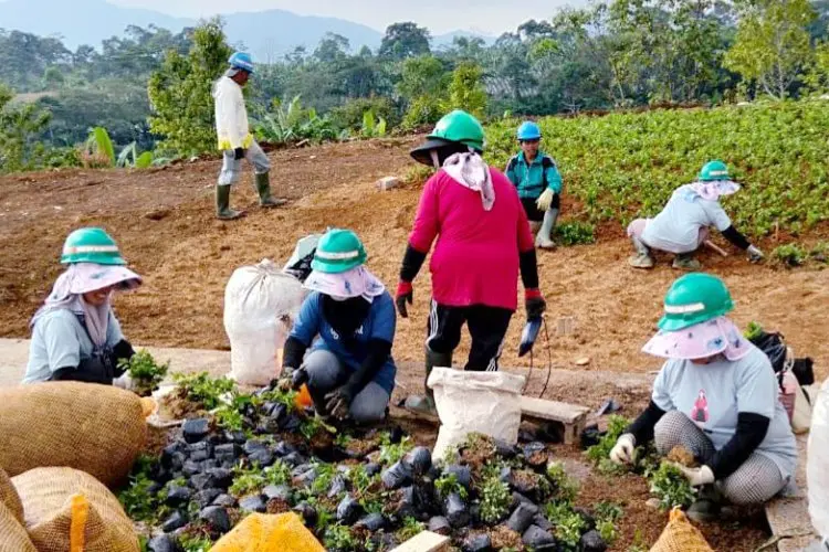 Investasi yang Menyulam Harapan di Megamendung, dari Konflik Agraria ke Ekowisata Berkelanjutan