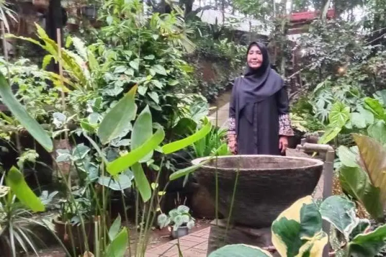 Hutan Organik Megamendung Melawan Panas Ekstrem dan Maraknya Pembangunan Vila Mewah