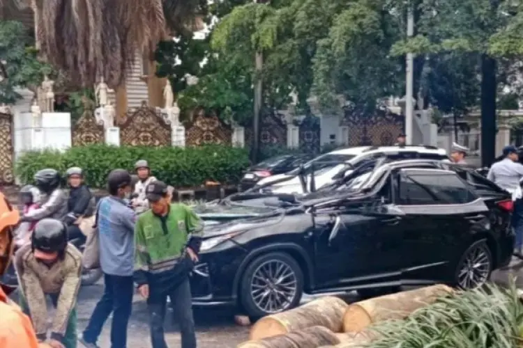 Tragedi di Pondok Indah: Pengemudi Lexus Tewas Tertimpa Pohon Saat Hujan Deras