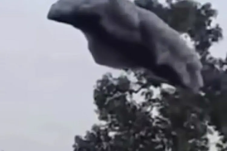 Heboh Gumpalan Hitam Turun dari Langit di Subang, Bentuknya Mirip Awan