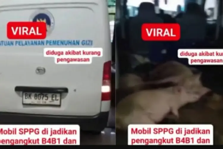 Viral Mobil untuk MBG Angkut Babi dan Ayam di Nias, BGN Bakal Lapor Polisi