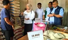 Disdagkoperin Cimahi Mulai Awasi Penjualan Beras di Atas HET Usai Temukan ini