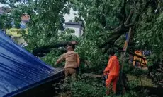 Hujan dan Angin Kencang di Bandung,  Pohon Raksasa Tumbang Sejumlah Fasilitas Umum Rusak